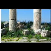 17446 04 061 Aphamea Syrien 2011.JPG